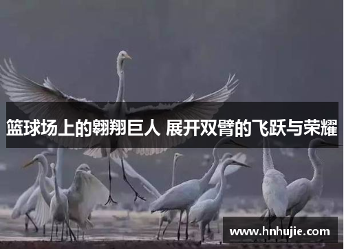篮球场上的翱翔巨人 展开双臂的飞跃与荣耀