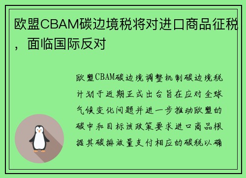 欧盟CBAM碳边境税将对进口商品征税，面临国际反对